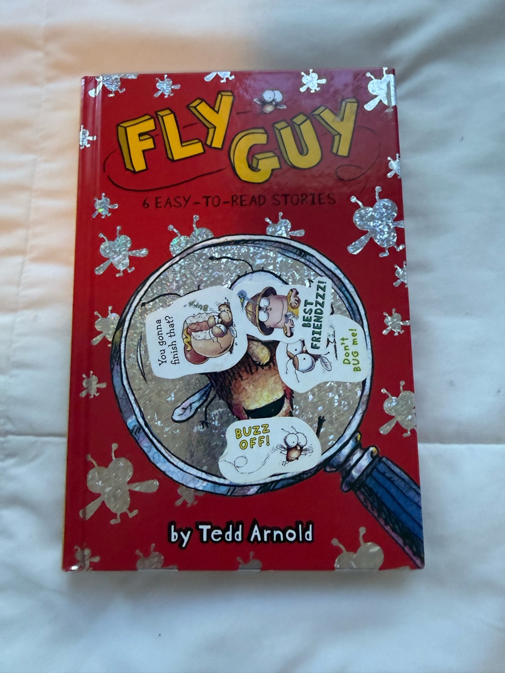 Fly Guy Middle School Hard Cover Book